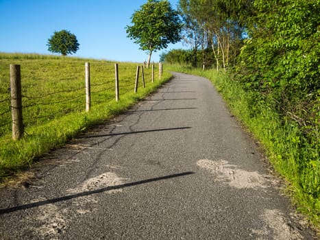 Landscape with a rising asphalt road next to a fenced pasture with a few small trees in summer in Bavaria / Germany.