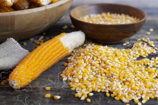Harvesting popcorn from the cob with kernels and cobs in wooden bowls and on table.