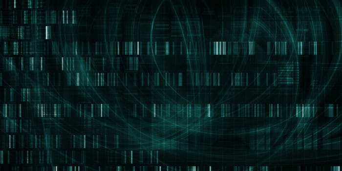 Healthcare System Network as a Digital Technology Concept