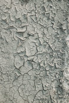 Background Of Dry Cracked Soil Dirt Or Earth During Drought. Dry Cracked Earth Depicting Severe Drought Conditions.