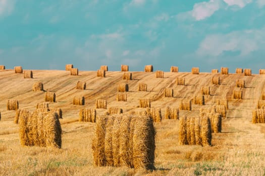 Summer Hay Rolls Straw Field Landscape. Haystack, Hay Roll.