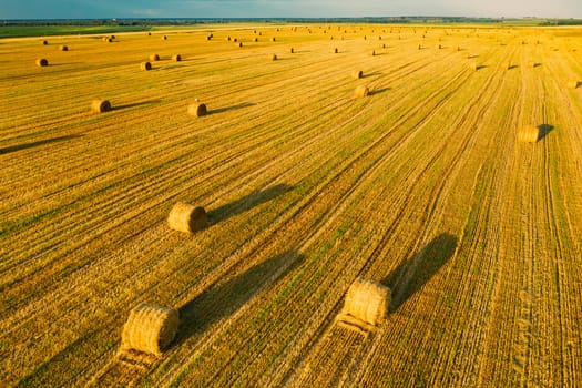 Elevated View Of Summer Hay Rolls Straw Field Landscape In Evening. Haystack, Hay Roll in Sunrise Time.