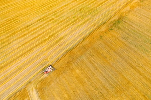 Aerial View Combine Harvester Working In Field. Harvesting Of Wheat In Summer Season. Agricultural Machines Collecting Wheat Seeds.
