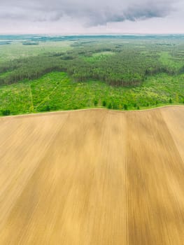Aerial View Of Field And Deforestation Area Zone Landscape. Top View Of Field And Green Pine Forest Landscape. Large-scale Industrial Deforestation To Expand Agricultural Fields.