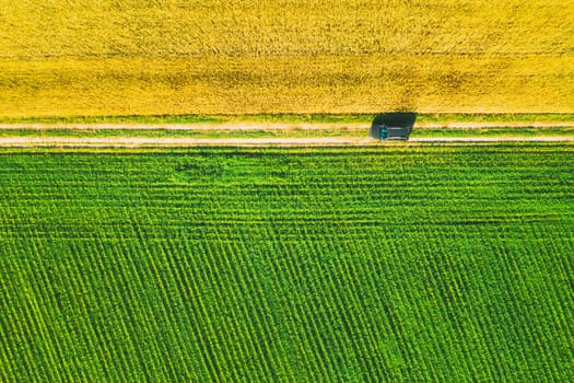 Aerial View Of Car SUV Parked Near Countryside Road In Spring Field Rural Landscape. Car Between Young Wheat And Corn Maize Plantation.