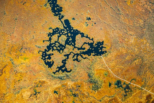 Miory District, Vitebsk Region, Belarus. The Yelnya Swamp. Aerial View Of Yelnya Nature Reserve Landscape. Narrow Wooden Hiking Trail Winding Through Marsh. Cognitive Boardwalk Trail Over A Wetland.