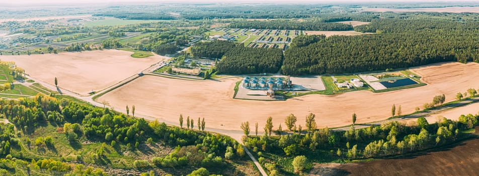 Aerial View Granary, Grain-drying Complex, Commercial Grain Or Seed Silos In Sunny Spring Rural Landscape. Corn Dryer Silos, Inland Grain Terminal, Grain Elevators Standing In A Field. Panorama.