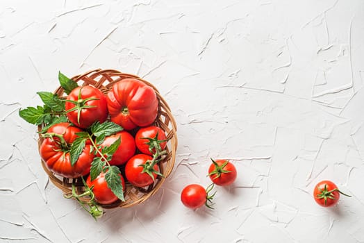 Fresh tomatoes in basket on white table background. Harvesting tomatoes. Top view