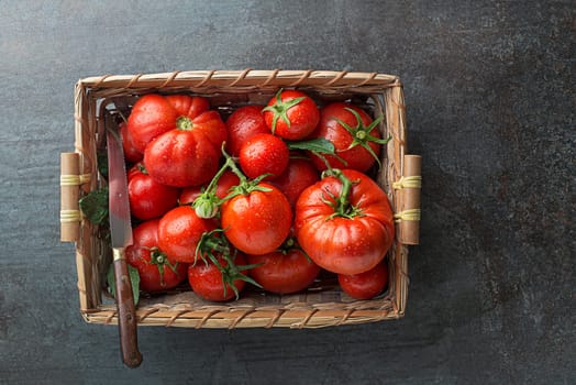 Fresh tomatoes in basket on dark background. Harvesting tomatoes. Top view