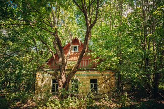 Belarus. Abandoned House Overgrown With Trees And Vegetation In Chernobyl Resettlement Zone. Chornobyl Catastrophe Disasters. Dilapidated House In Belarusian Village. Whole Villages Must Be Disposed.