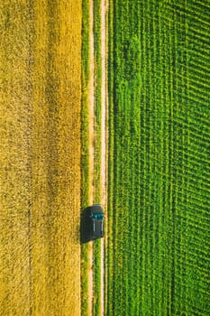 Aerial View Of Car SUV Parked Near Countryside Road In Spring Field Rural Landscape. Car Between Young Wheat And Corn Maize Plantation.