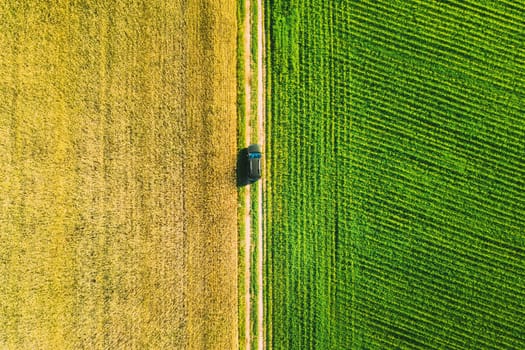 Aerial View Of Car SUV Parked Near Countryside Road In Spring Field Rural Landscape. Car Between Young Wheat And Corn Maize Plantation.