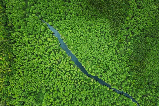 Elevated View Of Green Small Bog Marsh Swamp River Wetland And Green Forest Landscape In Summer Day. Attitude View. Forest In Bird's Eye View.