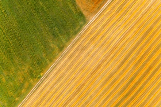 Aerial View Of Summer Hay Field Landscape. Flat View Natural Agricultural Background. Harvest Season Time. Cut Dry Grass Turned Into Straw Has Not Yet Been Removed From Field.