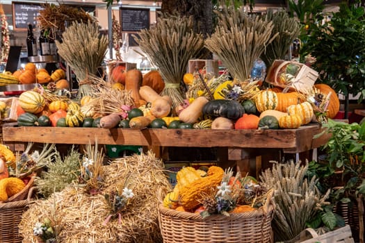 Thanksgiving autumn decorations. Colourful assortment of different kinds of pumpkins, gourds and squashes on wooden shelves and straw bales at a harvest market.