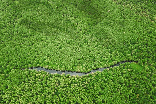 Elevated View Of Green Small Bog Marsh Swamp River Wetland And Green Forest Landscape In Summer Day. Attitude View. Forest In Bird's Eye View.