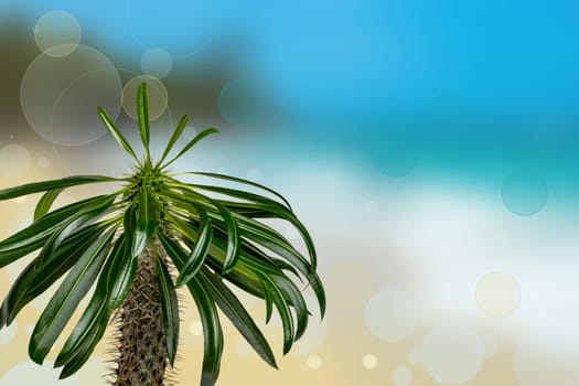 Abstract sea background. Abstract tropical sandy summer beach background with bokeh lights on light blue sky and sun. Beautiful texture. Space.