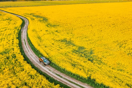 Aerial View Of Car SUV Parked Near Countryside Road In Spring Field Rural Landscape. Flowering Blooming Rapeseed, Oilseed In Field Meadow In Spring Season. Blossom Of Canola Yellow Flowers.