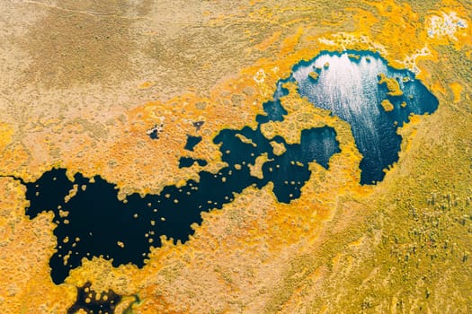 Miory District, Vitebsk Region, Belarus. The Yelnya Swamp. Upland And Transitional Bogs With Numerous Lakes. Elevated Aerial View Of Yelnya Nature Reserve Landscape. Famous Natural Landmark.