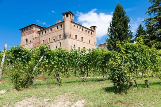 Vineyard in Piedmont Region, Italy, with Grinzane Cavour castle in the background. The Langhe is the wine district of Barolo wine.