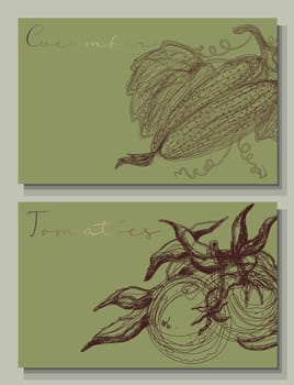 Tomatoes, cucumber, zucchini. Hand drawn vegetables. Isolated illustrations of farm vegetables. Clipart