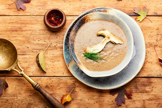 Homemade mushroom cream soup.Traditional lenten autumn soup