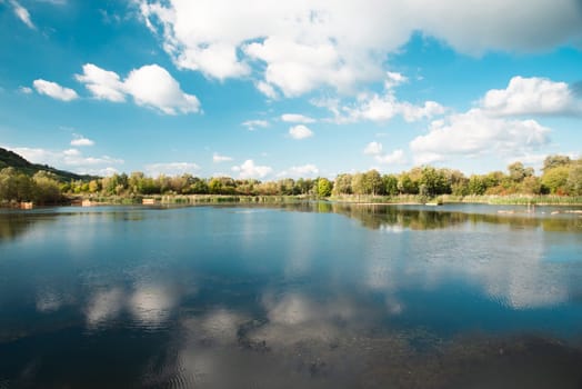 Biodiversity Haff Reimech, wetland and nature reserve in Luxembourg, pond surrounded by reed and trees, bird watching observation point