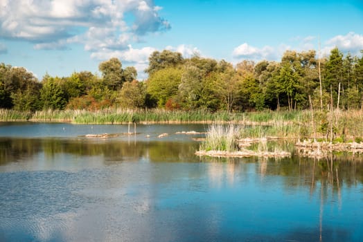 Biodiversity Haff Reimech, wetland and nature reserve in Luxembourg, pond surrounded by reed and trees, bird watching observation point