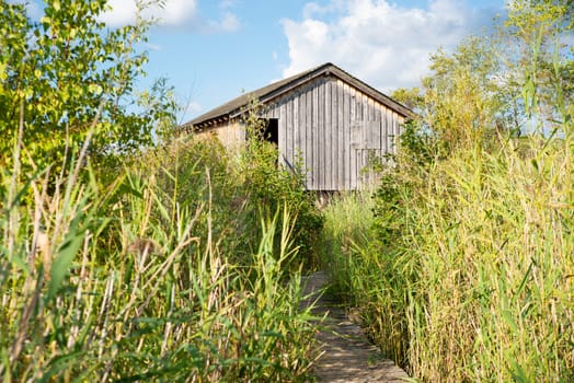 Haff Reimech, wetland in Luxembourg, path on a jetty through reed, wooden observation house for bird watching