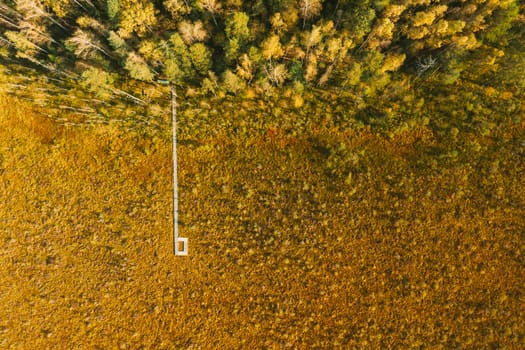 Belarus, Berezinsky Biosphere Reserve. Bird's-eye View Of Wooden path way pathway from marsh swamp to forest In Autumn Sunny Day. Panorama.
