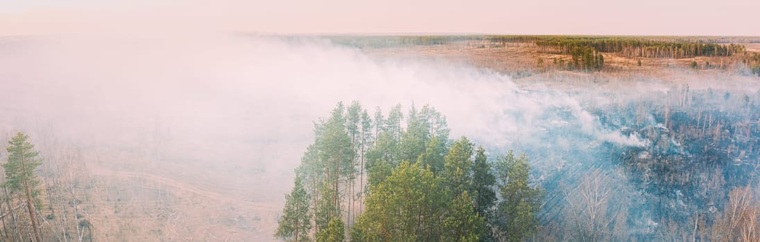 Aerial View. Spring Dry Grass Burns During Drought Hot Weather. Bush Fire And Smoke In Deforestation Zone. Wild Open Fire Destroys Grass. Nature In Danger. Ecological Problem Air Pollution.