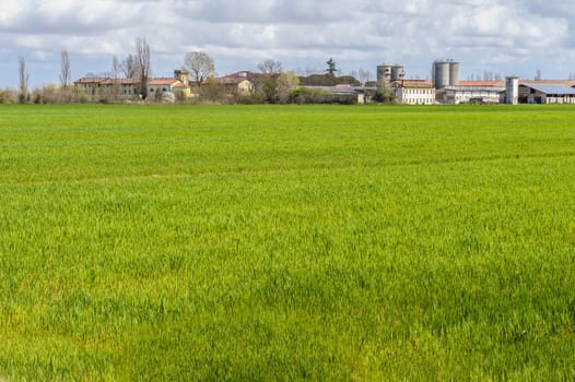 Agricultural landscape with farm and silos and a sky with clouds