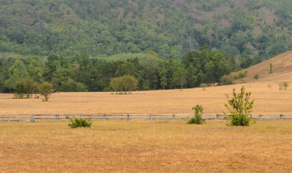 Nature landscape of Grass Hill (Phukhao Ya) or Bald Hill (Khao Hua Lan) in Ranong province, Southern Thailand