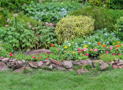Beautiful garden of multicolored flowerbed