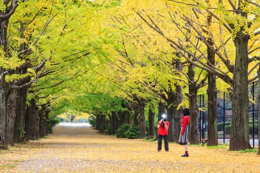Showa Memorial Park for adv or others purpose use