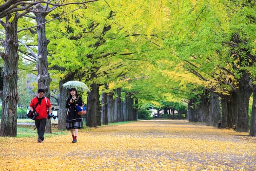Showa Memorial Park for adv or others purpose use
