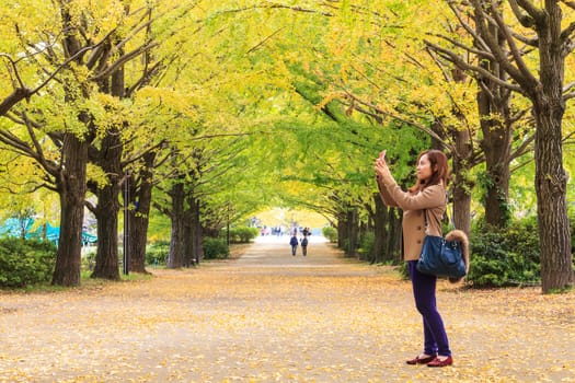 TOKYO, JAPAN - NOVEMBER 7