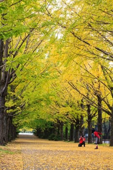 Showa Memorial Park for adv or others purpose use