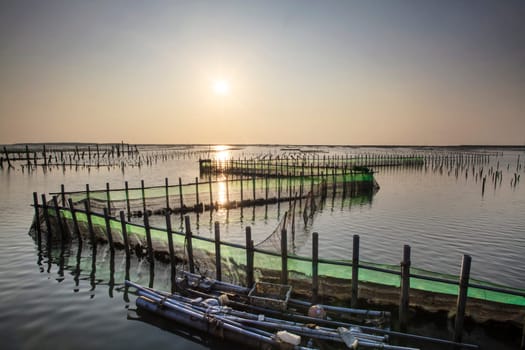 beautiful sunset in Oyster Farm for adv or others purpose use