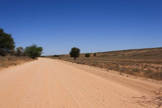 Panorama from Kgalagadi National Park, South Africa