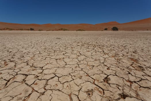 Sossusvlei salt pan with red dunes in background, Namibia