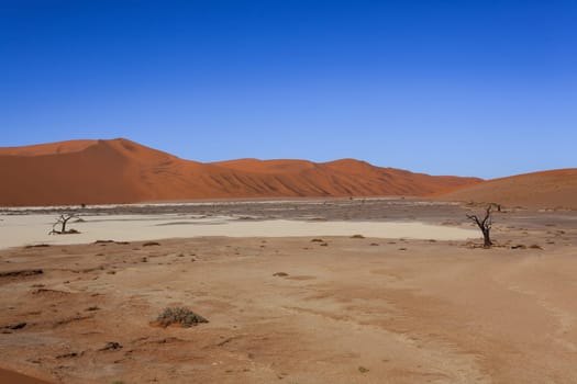 Panorama of red dunes from Hidden Vlei, Sossusvlei Namibia