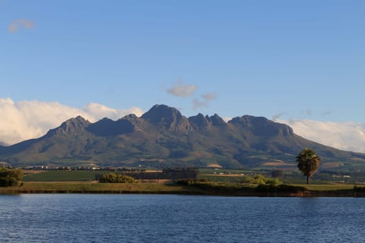 A Stellenboscsh panorama with tipical rows of vines, South Africa