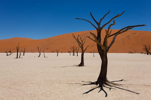 A view from Dead Vlei, Sossusvlei Namibia