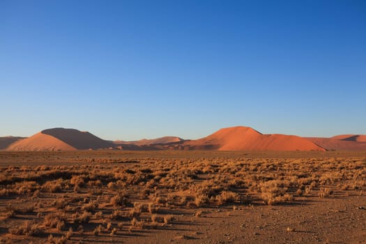 Red dunes on the road to Sossusvlei, Namibia