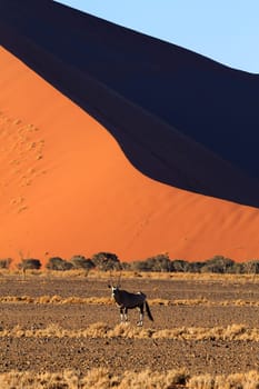 Red dunes on the road to Sossusvlei, Namibia