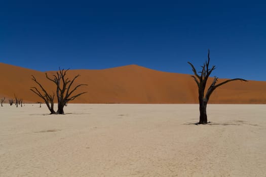 A view from Dead Vlei, Sossusvlei Namibia