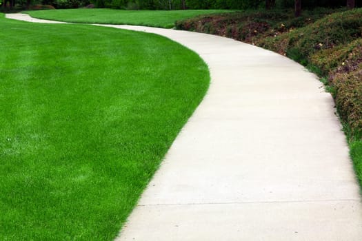 Pathway through green lawn