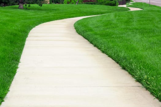 Pathway through green lawn