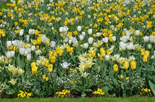 Flowerbed